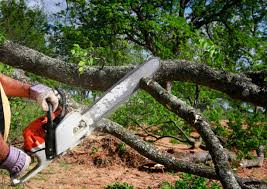 Seasonal Cleanup (Spring/Fall) in Kerhonkson, NY